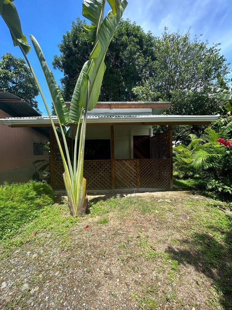Ballena Oasis Homes & Glamping Uvita Exterior photo